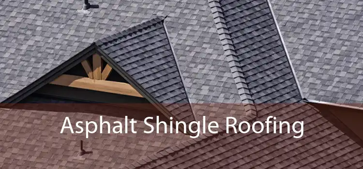 Asphalt Shingle Roofing 