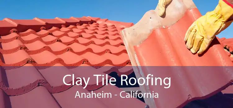 Clay Tile Roofing Anaheim - California