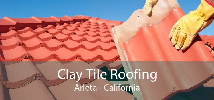 Clay Tile Roofing Arleta - California