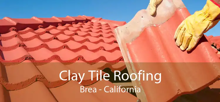 Clay Tile Roofing Brea - California