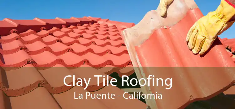 Clay Tile Roofing La Puente - California