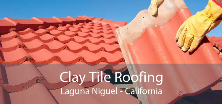 Clay Tile Roofing Laguna Niguel - California