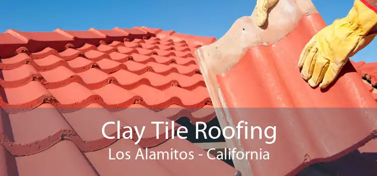 Clay Tile Roofing Los Alamitos - California