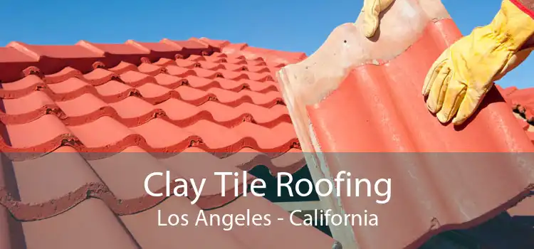 Clay Tile Roofing Los Angeles - California