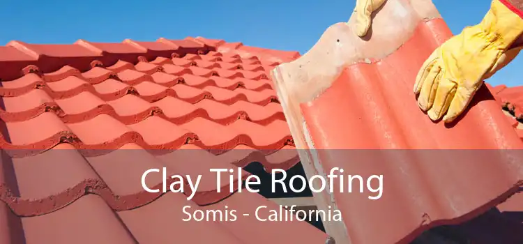 Clay Tile Roofing Somis - California