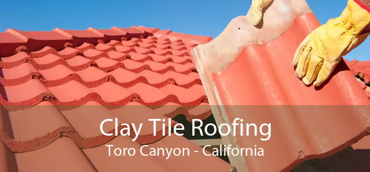 Clay Tile Roofing Toro Canyon - California