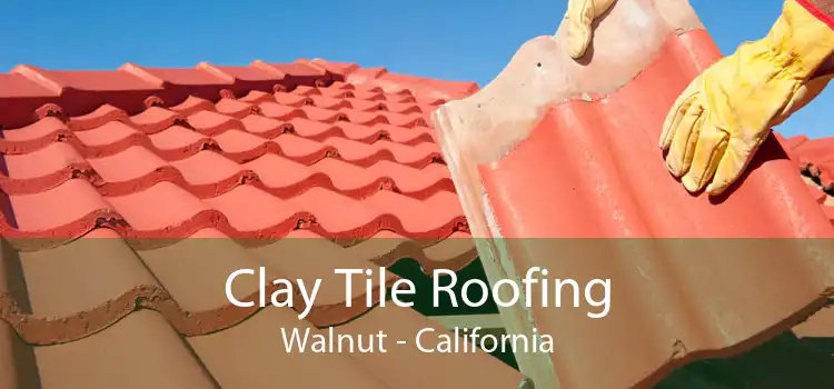 Clay Tile Roofing Walnut - California