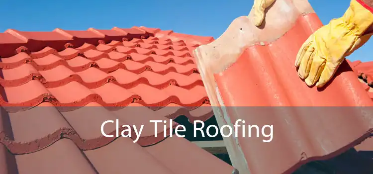 Clay Tile Roofing 