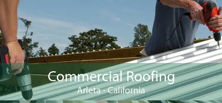 Commercial Roofing Arleta - California