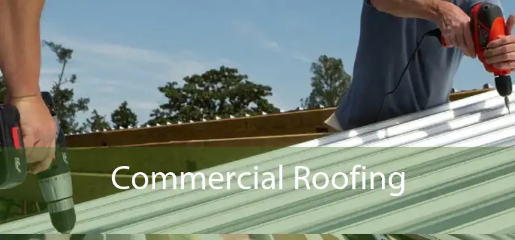 Commercial Roofing 