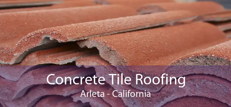 Concrete Tile Roofing Arleta - California