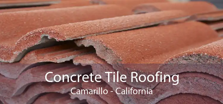 Concrete Tile Roofing Camarillo - California