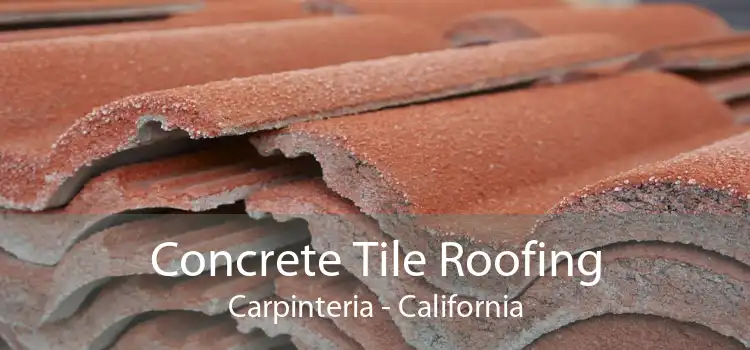 Concrete Tile Roofing Carpinteria - California