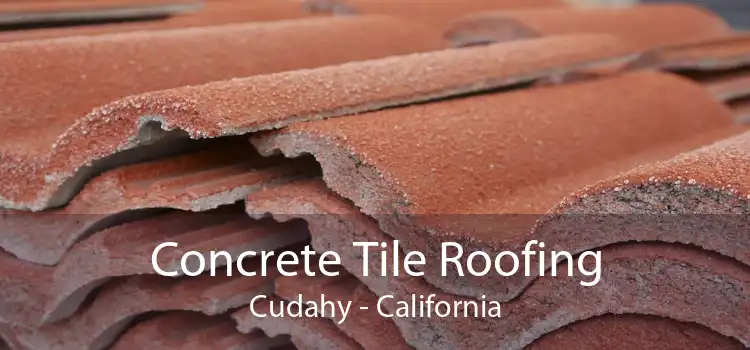 Concrete Tile Roofing Cudahy - California