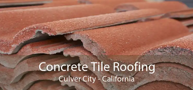 Concrete Tile Roofing Culver City - California