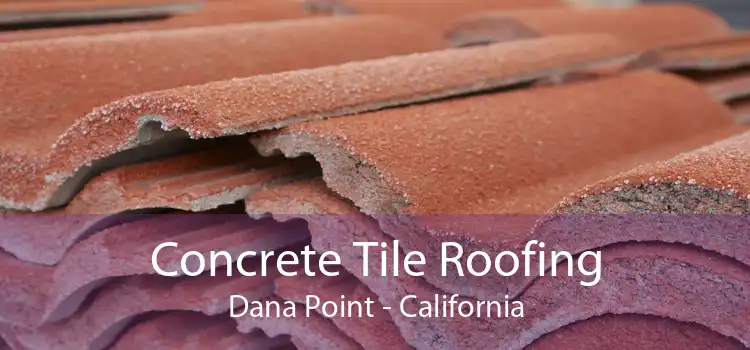 Concrete Tile Roofing Dana Point - California