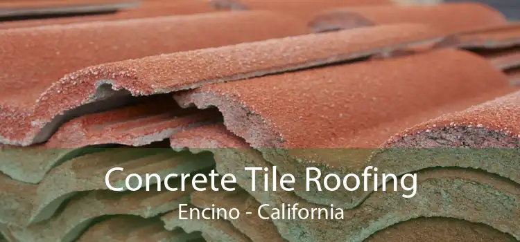 Concrete Tile Roofing Encino - California