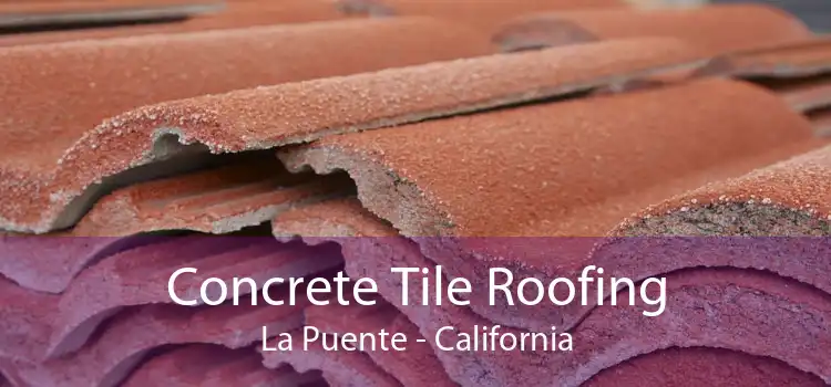 Concrete Tile Roofing La Puente - California