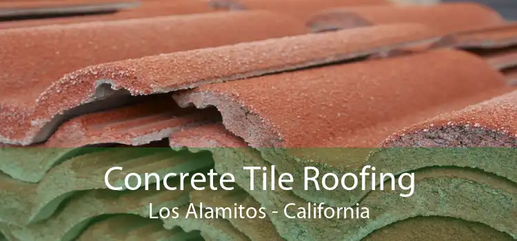 Concrete Tile Roofing Los Alamitos - California