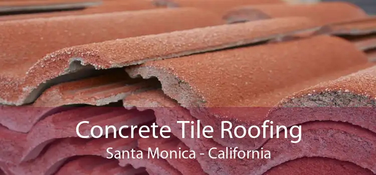 Concrete Tile Roofing Santa Monica - California