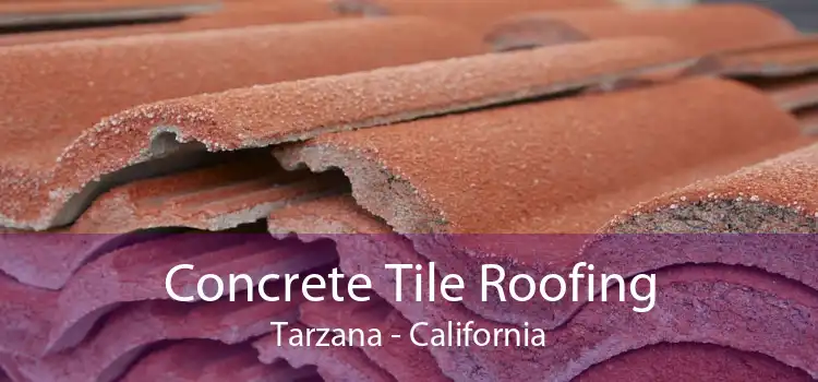 Concrete Tile Roofing Tarzana - California