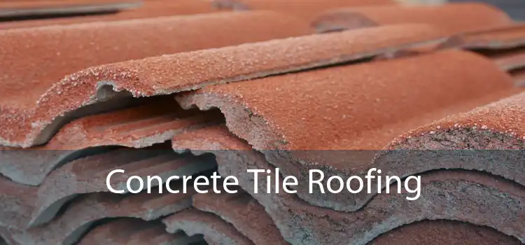 Concrete Tile Roofing 