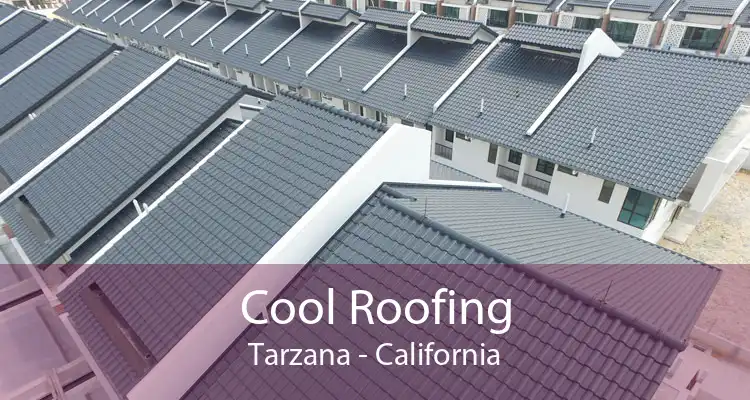 Cool Roofing Tarzana - California