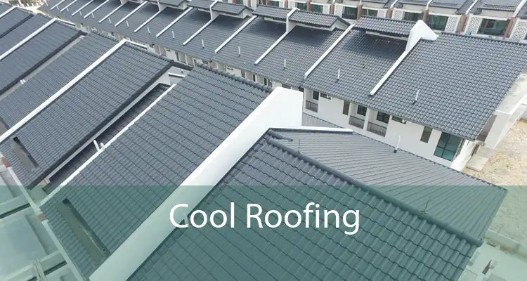 Cool Roofing 