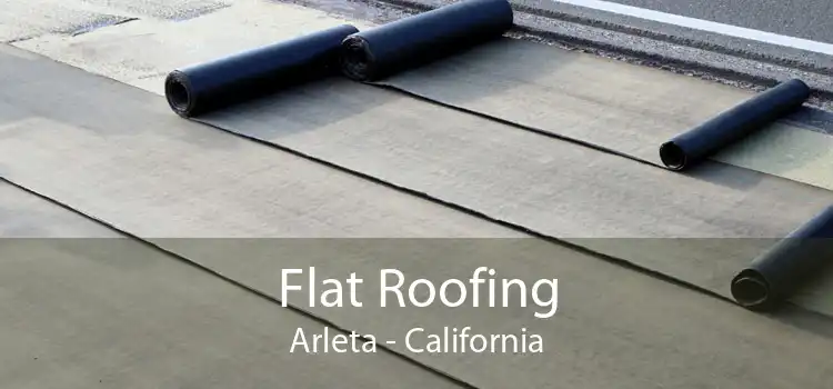 Flat Roofing Arleta - California