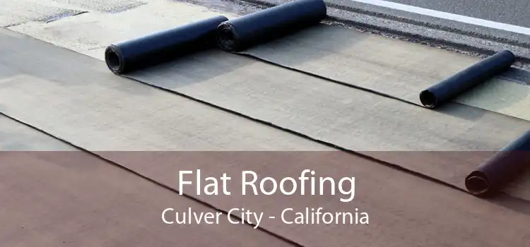 Flat Roofing Culver City - California