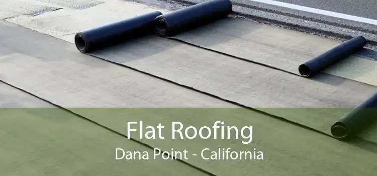 Flat Roofing Dana Point - California