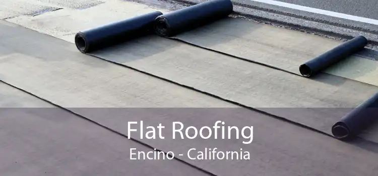 Flat Roofing Encino - California