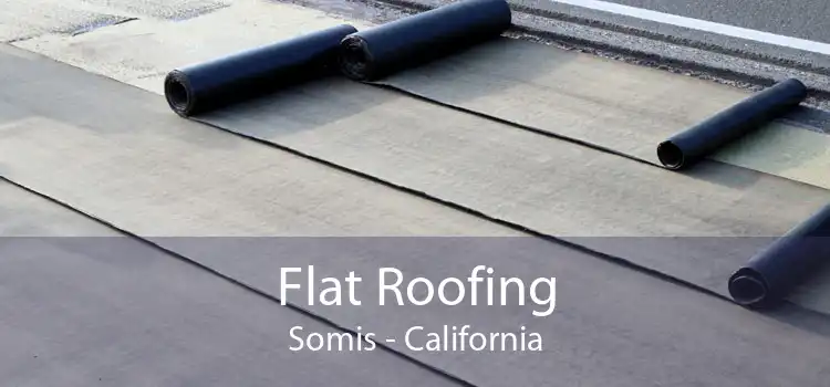 Flat Roofing Somis - California