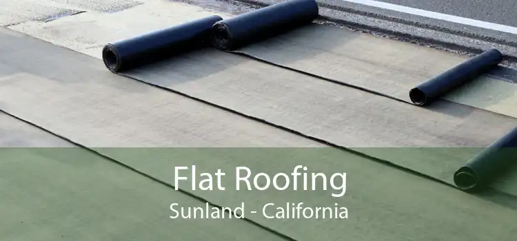 Flat Roofing Sunland - California