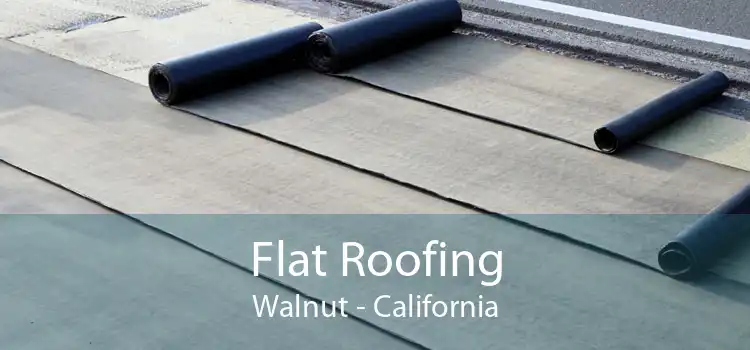 Flat Roofing Walnut - California