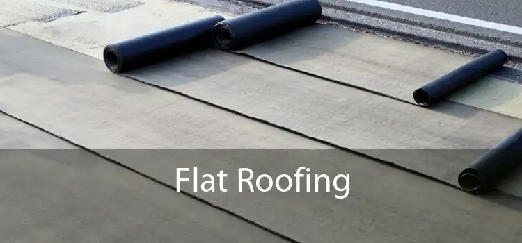 Flat Roofing 