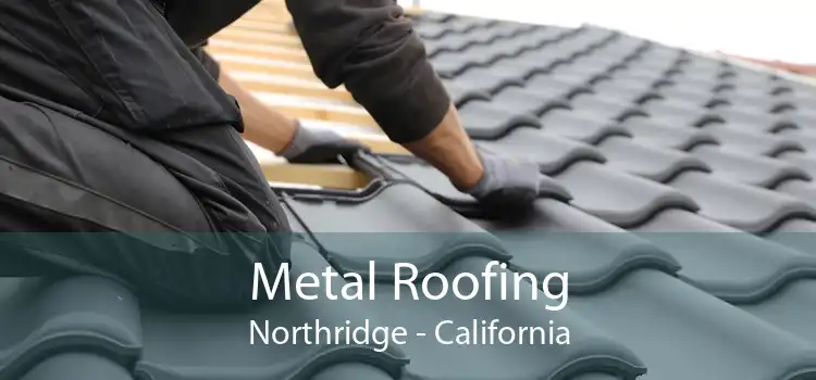 Metal Roofing Northridge - California