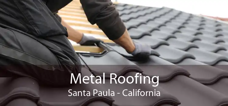 Metal Roofing Santa Paula - California