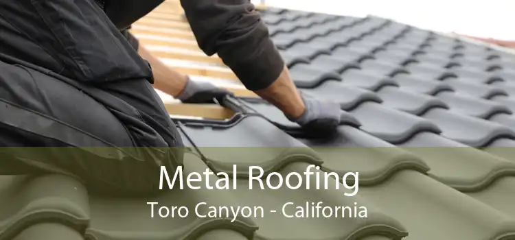 Metal Roofing Toro Canyon - California