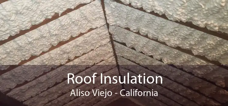 Roof Insulation Aliso Viejo - California