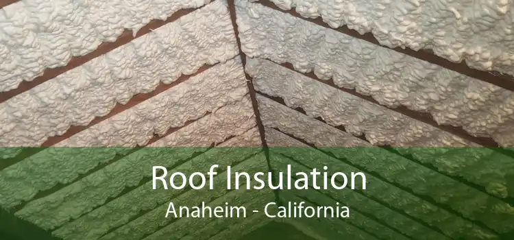 Roof Insulation Anaheim - California