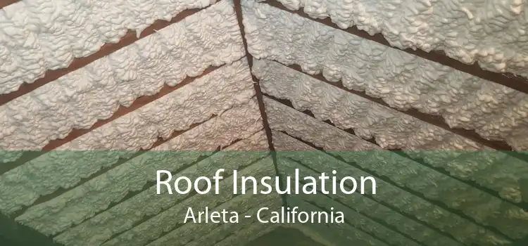 Roof Insulation Arleta - California