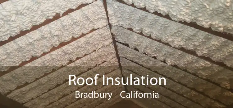 Roof Insulation Bradbury - California