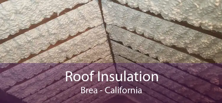 Roof Insulation Brea - California