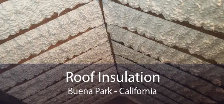 Roof Insulation Buena Park - California