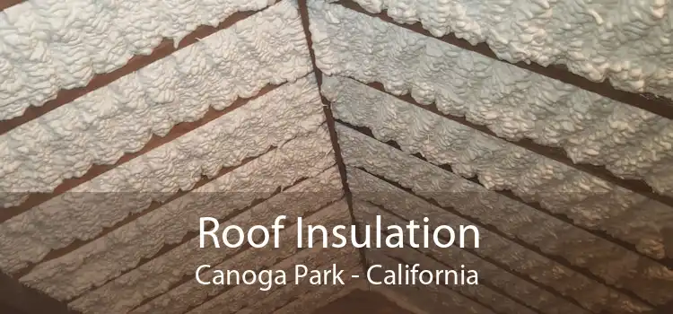 Roof Insulation Canoga Park - California