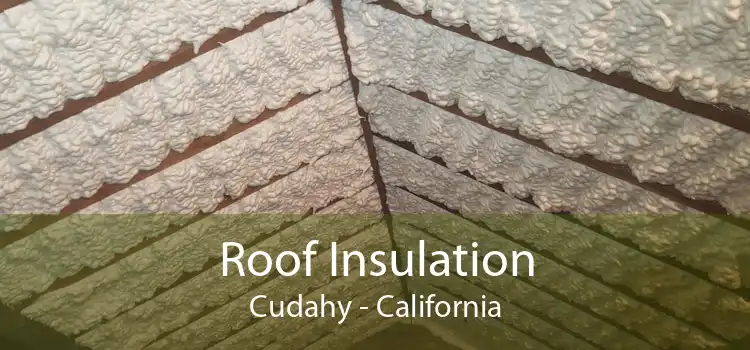 Roof Insulation Cudahy - California