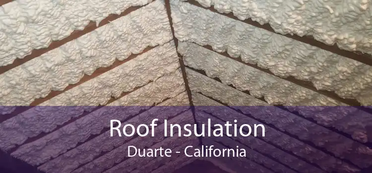 Roof Insulation Duarte - California