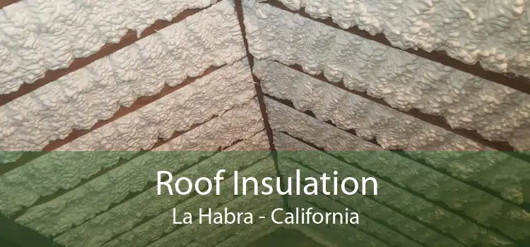 Roof Insulation La Habra - California