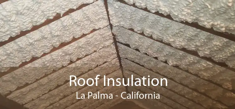 Roof Insulation La Palma - California